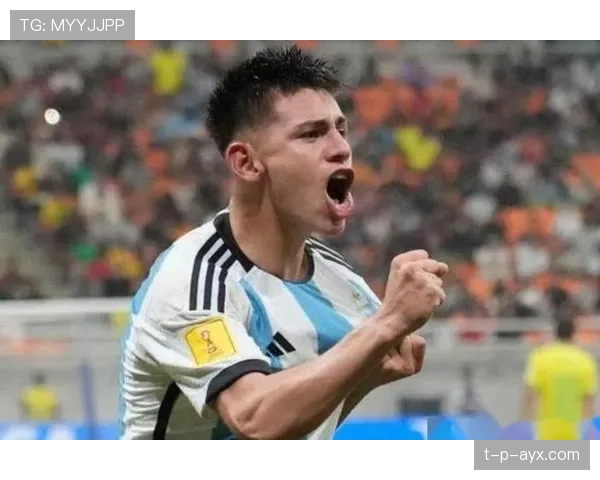 哈里斯展现全面实力，引发媒体广泛关注