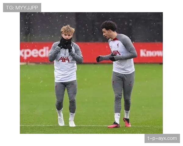 西甲鹦鹉队新赛季展望：新星闪耀，剑指欧洲赛场